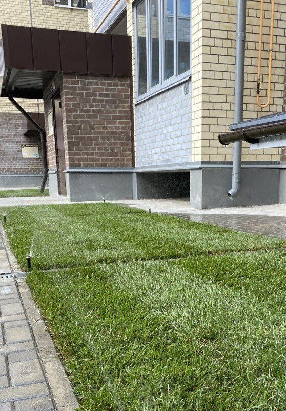 Монтаж системы автополива и укладка рулонного газона Монтаж системы автополива и укладка рулонного газона